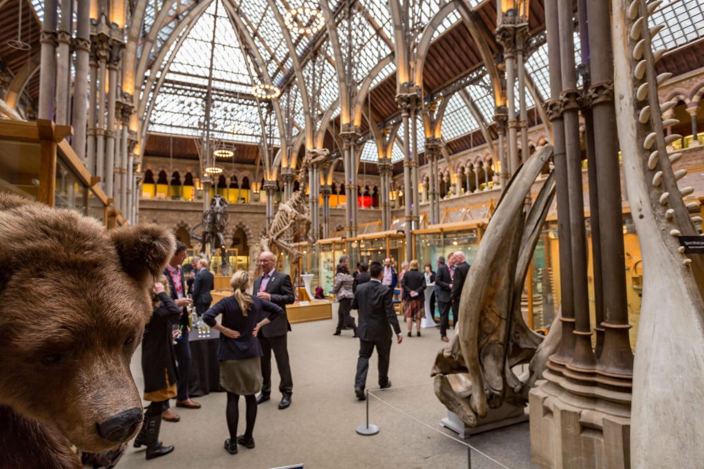 Conference at Oxford Museum of Natural History